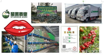 西安食材配送服務中心 專業一站式配送服務，助力餐飲與家庭食材供應